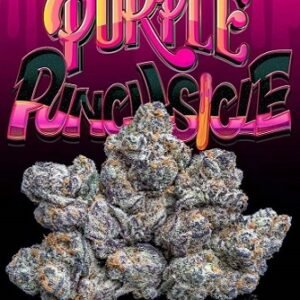 Purple Punch
