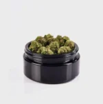Girl Scout Cookies