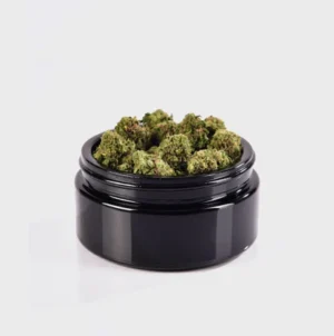 Girl Scout Cookies