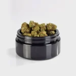 Gorilla Glue #4