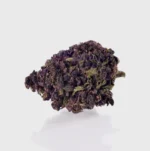 Critical Kush