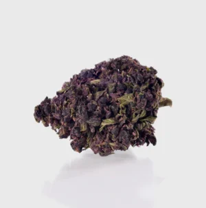 Critical Kush