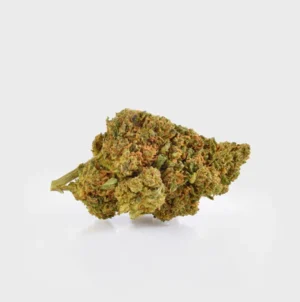 Amnesia Haze 