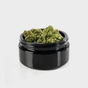 Lemon Haze