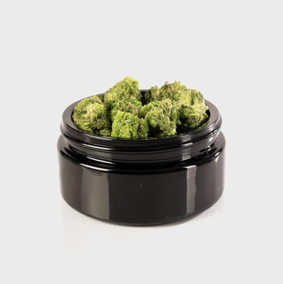 Gelato
